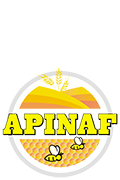 logo apinaf sem fundo 2 small 2